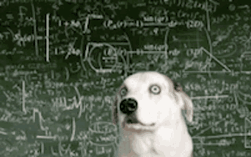 math-doggo
